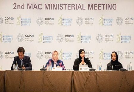 UAE Unveils Mangrove Alliance Strategy 2031 at COP29 in Baku