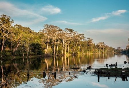 Nabat Launches Climate-Tech Solution for Mangrove Restoration